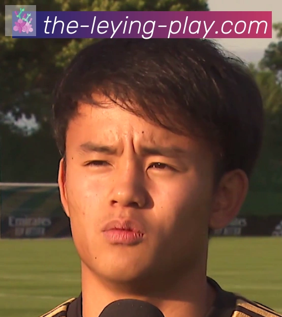 维尼修斯